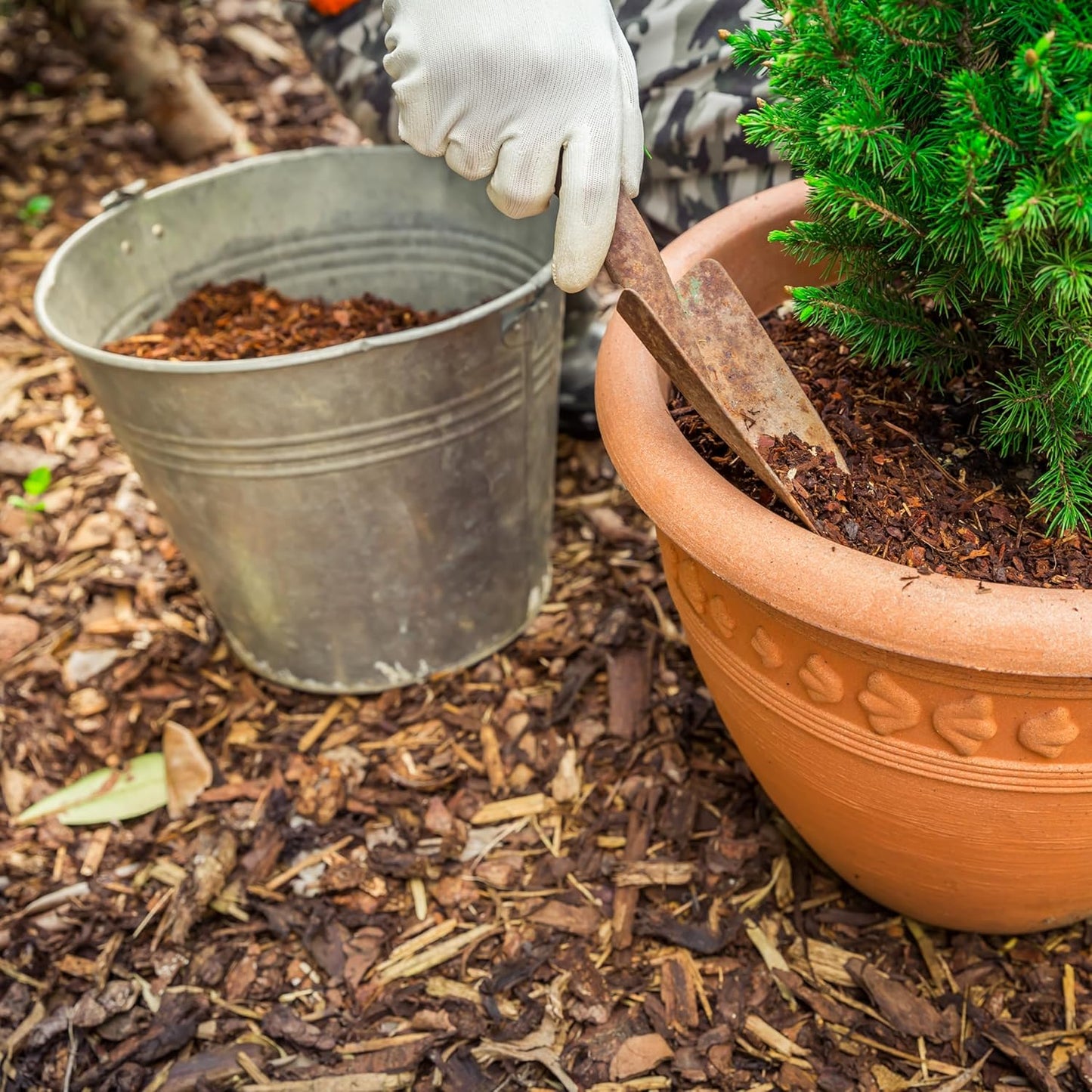 Premium Eucalyptus Wood Mulch for Indoor, Patio, Potting Media, Gardens, Lawns, and Landscaping (1.3 CF - 37 L - 39 QTS)